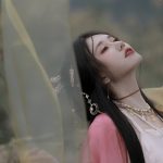 梦中的岁月流年