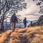 萧红散文经典～夏夜