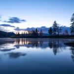 他的上唇挂霜了 萧红